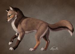  black_eyes brown_body brown_fur brown_hair canid canine canis digital_media_(artwork) feral fur green_eyes hair mammal noquelle paws quadruped simple_background solo standing wolf 