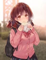  backpack bag baozi black_skirt blurry blurry_background blush breasts brown_eyes brown_hair cardigan commentary_request depth_of_field female food food_on_face fringe_trim fukahire_(ruinon) holding holding_food looking_at_viewer original outdoors parted_lips pink_cardigan plaid plaid_scarf plaid_skirt pleated_skirt scarf skirt small_breasts solo sorai_mahiru_(fukahire) sunset 