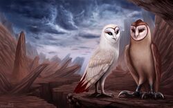  16:10 2017 ambiguous_gender avian beak bird brown_body brown_eyes brown_feathers canon_couple cloud day detailed_background digital_media_(artwork) digital_painting_(artwork) duo eye_scar facial_scar feathers feral guardians_of_ga&#039;hoole hi_res kludd looking_at_another noquelle nyra_(gogh) outside overcast owl rock scar shaded sky standing tan_body tan_feathers weapon white_body white_feathers widescreen 