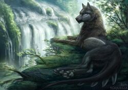  2018 black_body black_fur canid canine canis day detailed_background digital_media_(artwork) feral fur grass hybrid lying mammal noquelle outside plant solo water waterfall wolf 