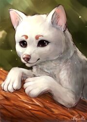  brown_eyes canid canine digital_media_(artwork) feral fur mammal noquelle paws quadruped solo white_body white_fur 