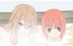  akai_ringo bath ookami-san_to_shichinin_no_nakama-tachi ookami_ryouko vector 