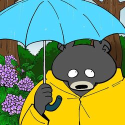  1:1 2020 anthro bear black_bear black_body black_fur black_nose fur fur_markings humanoid_hands mammal markings moon_bear outside raining solo umbrella ursine yuumin148 