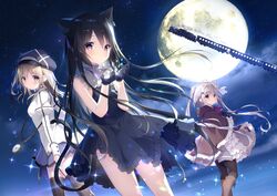  animal animal_ears black_hair blush brown_eyes brown_hair catgirl clouds dress feline gloves gray_hair hat long_hair moon night purple_eyes shiratama short_hair skirt sky stars tail thighhighs 