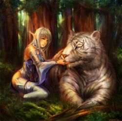  blue_eyes commentary_request elf elf_(lineage_2) female forest grass green_eyes lilaccu lineage lineage_2 long_hair nature original player_character_(lineage_2) pointy_ears thighhighs tiger tree white_hair white_tiger 