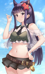  animal_ears belt bikini bikini_skirt bikini_top_only black_skirt blue_sky blunt_bangs blush bracelet breasts brown_belt closed_mouth cloud commentary cowboy_shot day dog_ears dog_girl doyagao extra_ears female flower green_bikini hair_flower hair_ornament hand_on_own_hip hand_up highres jewelry kasumi_(princess_connect!) kasumi_(summer)_(princess_connect!) long_hair looking_at_viewer medium_breasts midriff navel outdoors princess_connect! purple_eyes purple_hair sidelocks sixteenpo skirt sky smile smug solo swimsuit thighs 