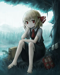  :| ascot barefoot blonde_hair closed_mouth collared_shirt commentary female forest full_body grass hair_between_eyes hair_ribbon hand_on_own_cheek hand_on_own_face highres leaf looking_at_viewer mary_janes nature rain red_ascot red_footwear red_ribbon ribbon rumia shirt shoes short_hair short_sleeves sitting skirt skirt_set socks solo spark621 taking_shelter touhou tree under_tree water wet wet_clothes white_shirt white_socks 