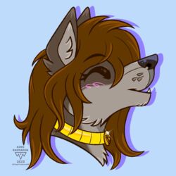  1:1 2023 anthro awoo black_eyebrows black_nose blue_background blush brown_hair canid canine collar compression_artifacts digital_media_(artwork) eyebrows fangs fur grey_body grey_fur grey_inner_ear_fluff hair headshot_portrait hi_res inner_ear_fluff kingstreasures mammal open_mouth portrait shadow simple_background solo teeth tuft 