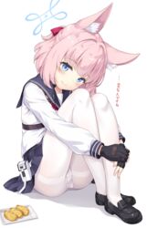  animal_ear_fluff animal_ears black_footwear black_gloves black_sailor_collar black_skirt blue_archive blue_eyes blush closed_mouth commentary_request female fingerless_gloves food fox_girl gloves halo highres hugging_own_legs inarizushi loafers long_sleeves looking_at_viewer niko_(blue_archive) paid_reward_available panties panties_under_pantyhose pantyhose pink_hair pleated_skirt sailor_collar school_uniform serafuku shirt shoes short_hair sitting skirt smile solo sushi thighband_pantyhose underwear white_background white_panties white_pantyhose white_shirt yamasan 