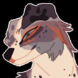  2022 animated black_body black_ears black_fur blue_body blue_eyes blue_fur border_collie canid canine canis collie domestic_dog fur fur_markings grey_body grey_ears grey_fur grey_markings headshot_portrait herding_dog icon low_res mammal markings milo_(nowheremotel) nowheremotel orange_body orange_fur pastoral_dog portrait sheepdog smile spots spotted_markings white_body white_fur 
