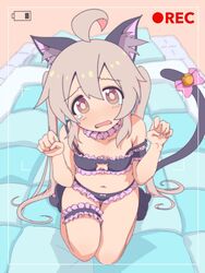  ahoge animal_ear_fluff animal_ears bare_arms bare_legs bare_shoulders battery_indicator bell black_bra black_panties bow bow_panties bra breasts bridal_garter brown_eyes cat_cutout cat_ears cat_lingerie cat_tail choker cleavage_cutout clothing_cutout commentary female frilled_bra frilled_choker frilled_garter frilled_panties frills full_body futon grey_hair hair_between_eyes highres jingle_bell lingerie long_hair looking_at_viewer meme_attire navel onii-chan_wa_oshimai! open_mouth oyama_mahiro panties paw_pose paw_shoes pink_bow sitting small_breasts solo strap_slip tail tail_bell tail_bow tail_ornament tearing_up twintails underwear underwear_only unkimo viewfinder wavy_mouth 