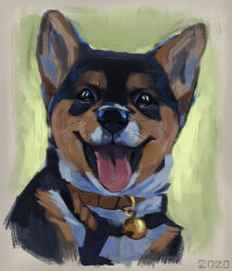  2020 alexpahomov bell bell_collar black_body black_eyes black_fur black_nose brown_body brown_fur canid canine canis collar digital_media_(artwork) digital_painting_(artwork) domestic_dog feral fur green_background herding_dog hi_res mammal multicolored_body multicolored_fur open_mouth painting_(artwork) pastoral_dog simple_background solo tongue tongue_out welsh_corgi white_body white_fur 