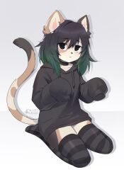  2024 anthro bitterk4t black_hair blush brown_body brown_fur clothed clothing digital_drawing_(artwork) digital_media_(artwork) domestic_cat felid feline felis fur green_hair hair hi_res hoodie legwear looking_at_viewer mammal pattern_clothing pattern_legwear pattern_thigh_highs simple_background solo striped_clothing striped_legwear striped_thigh_highs stripes thigh_highs topwear white_background white_body white_fur 