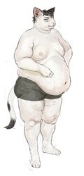  2021 anthro belly big_belly black_hair boxer_briefs cettus clothed clothing domestic_cat felid feline felis fur hair hi_res male mammal natan_osorio_suarez obese obese_anthro obese_male overweight overweight_anthro overweight_male simple_background solo standing stretch_marks topless underwear white_background white_body white_fur 