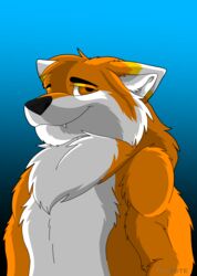  absurd_res aeveirra anthro canid canine countershading fox hi_res male mammal reiyoyote solo 