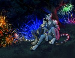  anthro beleoci cheetah clothed clothing duo edron_(mr-yiffy) eva_(mr-yiffy) felid feline female fireworks green_eyes male mammal pantherine plant scar sitting sleeping stripes tiger tree 