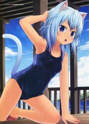  amamiya_minato bleed_through cameltoe mizugi nekomimi sukumizu tail 