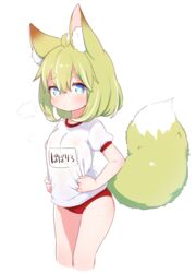  ahoge animal_ear_fluff animal_ears babalilo babalilo_(babalilo) blue_eyes buruma commentary_request covered_nipples cropped_legs female flat_chest fox_ears fox_girl fox_tail green_hair gym_shirt gym_uniform highres original red_buruma see-through see-through_shirt shirt shirt_tug short_hair short_sleeves simple_background solo tail thighs white_background white_shirt 