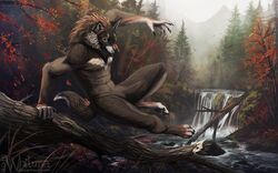  16:10 2015 action_pose amazing_background ambient_bird ambient_flier ambient_silhouette anthro autumn avian bird black_nose blue_eyes brown_body brown_fur canid canine canis casual_nudity cheek_tuft claws detailed detailed_background facial_tuft featureless_crotch fog forest fur green_eyes group jumping leaf log male mammal mane mountain nude outside parkour pawpads plant pose pubes river rock silhouette solo_focus toe_claws tree tuft vaulting water waterfall whiluna widescreen wolf wood 