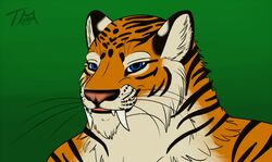  anthro bakari fangs felid fur looking_at_viewer male mammal pantherine simple_background smile solo teeth tiger whiskers 