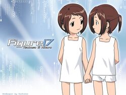  2girls artist_request brown_eyes brown_hair eyecatch figure_17 highres multiple_girls shiina_hikaru shiina_tsubasa short_hair siblings twins 