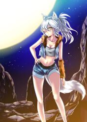  absurdres animal_ears arm_warmers bad_id bad_pixiv_id bare_shoulders blue_shorts brown_arm_warmers crop_top cropped_jacket female full_moon fur_trim hair_over_one_eye hand_on_own_hip highres long_hair midriff mikoto_(mio) moon navel night night_sky original ponytail rock scar short_shorts shorts single_arm_warmer sky sleeveless solo standing strapless tail tube_top vest white_hair wolf_ears wolf_tail yellow_eyes 