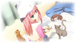  animal feline game_cg hat kazami_haruki ninomae_sakura pink_hair shunki_gentei_poco_a_poco 