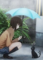  black_cat brown_hair commentary_request feline female ghost grey_eyes highres laco_soregashi leaf_umbrella multiple_tails nekomata original outdoors photoshop_(medium) plant rain school_uniform short_hair skirt solo squatting sweater tail umbrella wall 