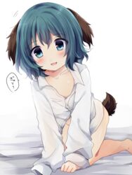  all_fours animal_ears bad_id bad_pixiv_id barefoot blush collarbone collared_shirt dress_shirt female green_eyes green_hair heart_sutra kasodani_kyouko kneeling looking_at_viewer naked_shirt shirt short_hair sleeves_past_wrists smile solo tail touhou translated uguisu_mochi_(ykss35) white_background 