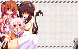  5girls animal_ears bow breasts brown_hair candy cassini_m_bisuko cat_ears cat_tail commentary_request food hat highres large_breasts lollipop long_hair looking_at_viewer mia_flatpaddy multiple_girls orange_eyes original photoshop_(medium) pink_hair purple_eyes shia_flatpaddy syroh tail thighhighs white_legwear 