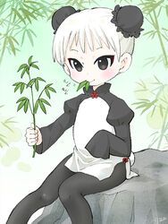  bamboo black_eyes black_pantyhose bun_cover china_dress chinese_clothes commentary_request double_bun dress eating eyeliner female food_in_mouth hair_bun hakkatou holding juliet_sleeves leaf long_sleeves makeup original pantyhose puffy_sleeves rock short_hair side_slit sitting sleeves_past_fingers sleeves_past_wrists smile solo white_hair wide_sleeves 