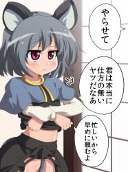  :&lt; animal_ears capelet clothes_lift commentary_request female grey_hair groin mouse_ears mouse_tail nazrin no_panties red_eyes shirt_lift short_hair sigh skirt skirt_lift solo super_masara tail touhou translated 