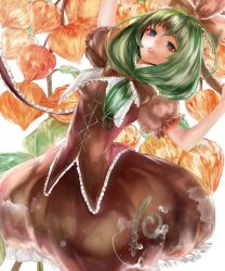  absurdres arms_up bad_id bad_pixiv_id blue_eyes bubble_skirt chinese_lantern_(plant) dress female frills front_ponytail green_eyes green_hair hair_ribbon highres kagiyama_hina lips long_hair parted_lips ribbon skirt solo tcb touhou 