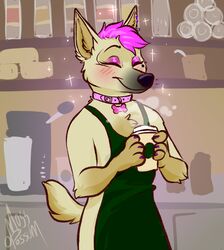  2019 anthro apron barrista blush canid canine canis clothing coffeshop collar collar_tag detailed_background domestic_dog female hair herding_dog mammal mosstheopossum pastoral_dog pink_collar pink_hair schipperke sheepdog smile solo willow_(disambiguation) 