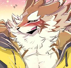  absurd_res blush canid canine canis clothing countershading embarrassed fluffy hi_res jackal jacket lifewonders male mammal nokia1124_a pecs seth_(tas) solo tokyo_afterschool_summoners topwear undressing 