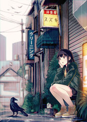  40hara :o ahoge awning bird black_hair black_skirt blurry brown_eyes building city coat commentary_request crow depth_of_field female head_rest highres hood hood_down hooded_jacket jacket jungle_crow long_hair open_clothes open_jacket open_mouth original outdoors puddle rain shoes sidelocks sign sitting skirt sneakers solo taking_shelter utility_pole 