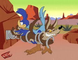  2024 2_toes 3_toes abstract_background anthro arched_soles ass avian beak biped bird black_eyes black_nose black_pawpads blue_body blue_feathers brown_body brown_fur canid canine canis canyon cheek_tuft claws clenched_teeth colored coyote cuculiform curling_toes desert desert_background digital_drawing_(artwork) digital_media_(artwork) duo eyebrows facial_tuft fangs feather_hands feathered_wings feathers feet finger_claws flat_colors foot_fetish foot_focus foot_lick foot_play fur glifer greater_roadrunner head_feathers head_tuft heel_pad hi_res humanoid_feet humanoid_hands humanoid_heel licking looney_tunes male mammal multicolored_body multicolored_fur new_world_ground_cuckoo nude one_eye_closed orange_legs outside pawpads paws plantigrade road_runner_(looney_tunes) roadrunner sharp_teeth signature snickering soles spring tail tail_feathers talons tan_body tan_eyebrows tan_fur teeth tickle_fetish tickle_torture tickling tickling_armpits tickling_feet toe_claws toes tongue tongue_out trapped tuft two_tone_body two_tone_feet two_tone_fur warner_brothers white_sclera wile_e._coyote wings yellow_beak yellow_sclera 