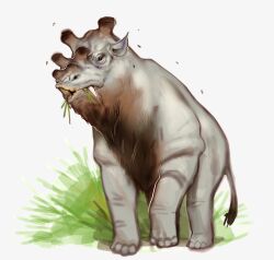  2025 4_toes absurd_res ambient_arthropod ambient_fly ambient_insect ambiguous_feral ambiguous_gender black_eyes brown_body brown_fur brown_tail combos-n-doodles eating fangs feet feral fur grass grey_body grey_ears grey_skin grey_tail hi_res horn looking_at_viewer mammal multicolored_body ossicone plant prehistoric_species quadruped simple_background snout solo tail teeth toes two_tone_body two_tone_tail uintatherium white_background 