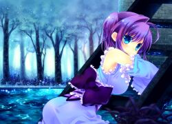  blue_eyes bow konno_kengo original purple_hair short_hair tree water 