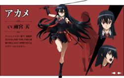  akame akame_ga_kill! akame_ga_kill!_character_sheet black_hair character_sheet female long_hair necktie official_art red_eyes red_necktie simple_background skirt solo sword 