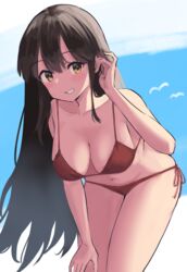  :d absurdres akagi_(kancolle) alternate_costume bikini bird bra breasts brown_eyes brown_hair cloud female front-tie_top hair_between_eyes highres kantai_collection lanthan long_hair medium_breasts open_mouth red_bikini red_bra sky smile standing swimsuit underwear 