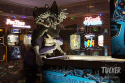  3:2 3d_(artwork) absurd_res anthro arcade arcade_machine beanie black_body black_fur blender_(artwork) blender_cycles border_collie bottomwear brown_body brown_fur canid canine canis clothing collie crop_top digital_media_(artwork) domestic_dog duo eyewear fur gaming glasses hat headgear headwear herding_dog heterochromia hi_res hotpants hug hugging_another hugging_from_behind latex latex_clothing latex_legwear legwear male male/male mammal markings pastoral_dog pinball pinball_machine playing_video_game rimworld romantic sheepdog shirt shorts spots spotted_markings stockings team_fortress terminator_(franchise) topwear tuckerin3d white_body white_fur 