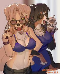  2021 4_fingers alternative_fashion amekaji anthro arm_in_arm artist_name beverage bikini bikini_top bottomwear breasts brown_body brown_fur brown_hair brown_nose bubble_tea canid canine canis chest_tuft claws clothing collar dated digital_media_(artwork) domestic_dog dress duo ear_piercing ear_ring eyewear female female/female female_anthro finger_claws fingers floppy_ears fluffy fur gesture gyaru hair hand_gesture hi_res holding_beverage holding_object j-fashion jewelry kemono looking_at_viewer magiace mammal midriff multicolored_body multicolored_fur navel necklace onee_gyaru open_mouth pawpads piercing ring ring_piercing sunglasses swimwear tan_body tan_fur tan_hair teeth tongue tuft v_sign white_body white_fur wristband yellow_eyes 