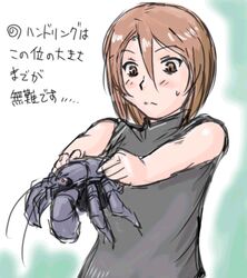  aged_up brown_eyes brown_hair casual coconut_crab crab crustacean female lowres no_heterochromia rozen_maiden shirt short_hair sleeveless sleeveless_shirt solo souseiseki translation_request tsuda_nanafushi 