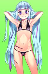  armipts arms_up bikini blue_hair breasts green_background grin ishida-masamune_kiriko kbtmsboy long_hair multicolored_hair navel purple_eyes purple_hair scar shinken!! simple_background small_breasts smile swimsuit 