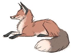  2016 ambiguous_gender black_body black_fur brown_body brown_fur canid canine closed_eyes countershading dipstick_tail ears_up feral fox fur low_res lying mammal markings multicolored_tail on_front red_fox simple_background sketchy skia solo tail tail_markings true_fox white_background white_body white_fur 