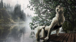  2019 5_fingers anthro arm_support bikini biped black_clothing black_nose blue_eyes breasts canid canine canis clothed clothing detailed detailed_background digital_drawing_(artwork) digital_media_(artwork) domestic_dog extended_arms female fingers fluffy fluffy_tail fog forward_arm_support fur grass lake leaning leaning_forward legs_in_water looking_away mammal neck_tuft outside partially_submerged plant side_view solo sterr straight_legs submerged_legs submerged_tail swimming swimwear tail tail_in_water teeth three-quarter_view tree tuft water wet wet_body wet_fur white_body white_fur wood 