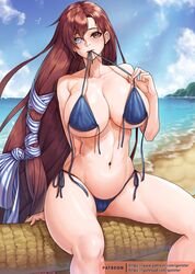  arm_support bare_shoulders beach bikini bikini_in_mouth bikini_pull bird blue_bikini blue_sky breasts brown_hair cleavage clothes_in_mouth clothes_pull cloud day female gonster heterochromia highres large_breasts last_origin long_hair looking_at_viewer navel official_alternate_costume outdoors sand shore side-tie_bikini_bottom sitting sky solo swimsuit tied_hair tree underboob untied_bikini valkyrie_(last_origin) very_long_hair water 