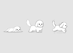  ambiguous_gender canid canine canis domestic_dog feral fur mammal monochrome omakase123 running solo white_body white_fur 