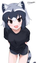 alternate_costume animal_ears araisan707 arms_behind_back black_shirt black_shorts blush brown_eyes casual common_raccoon_(kemono_friends) cowboy_shot dolphin_shorts extra_ears female grey_hair hair_between_eyes highres kemono_friends leaning_in looking_at_viewer multicolored_hair oerba_yun_fang open_mouth raccoon_ears raccoon_girl raccoon_tail shirt short_shorts short_sleeves shorts sidelocks smile solo t-shirt tail white_hair white_trim 